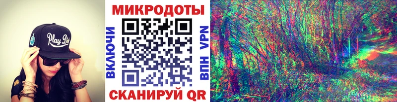 Псилоцибиновые грибы Psilocybine cubensis  Крым 